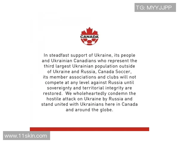 巴西与德国队标的历史渊源与文化象征探讨